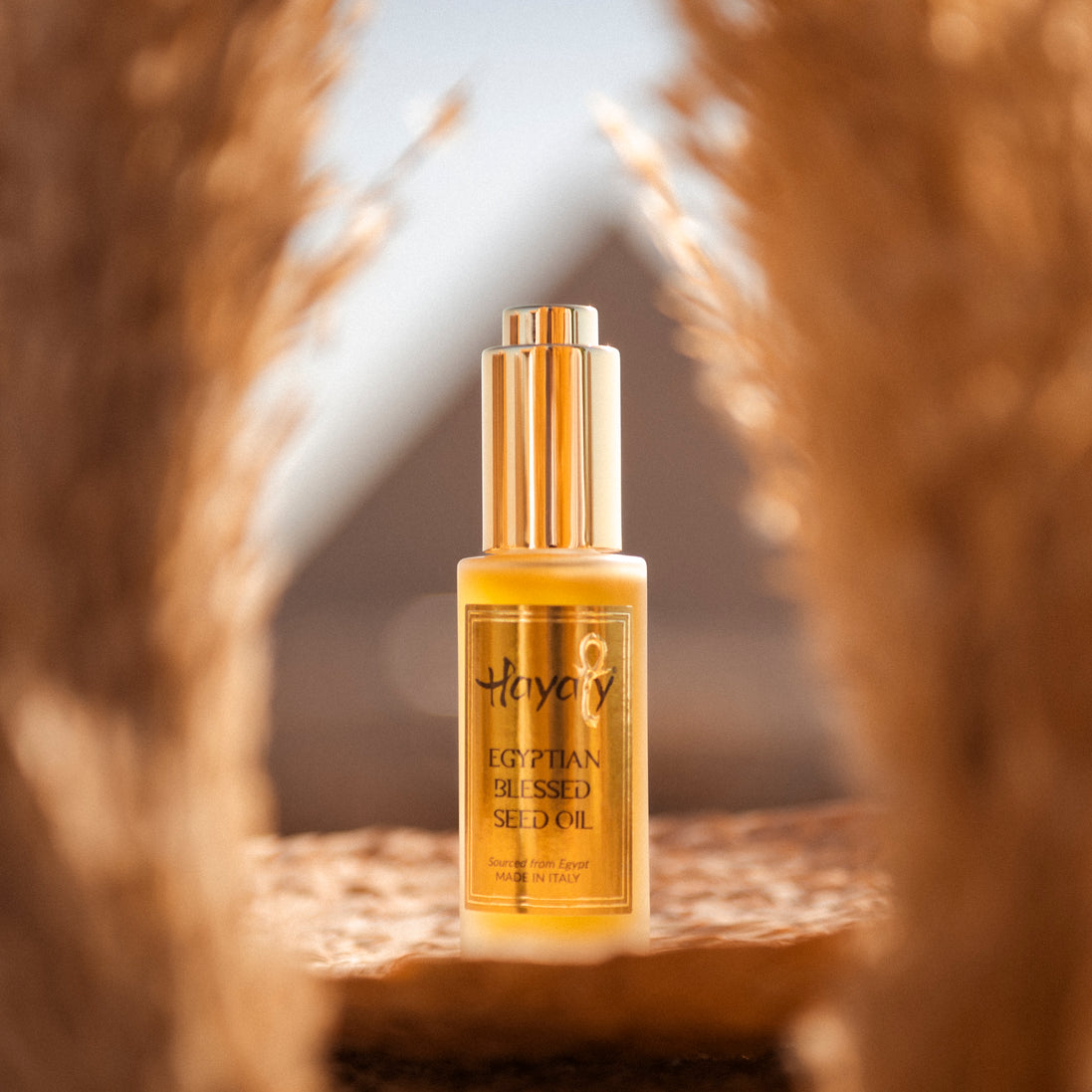 Black Seed Facial Oil – Glow, Even Tone & Barrier Repair