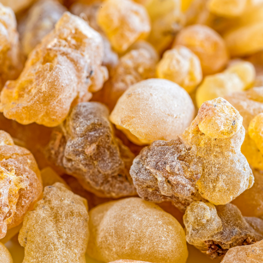 Frankincense Extract